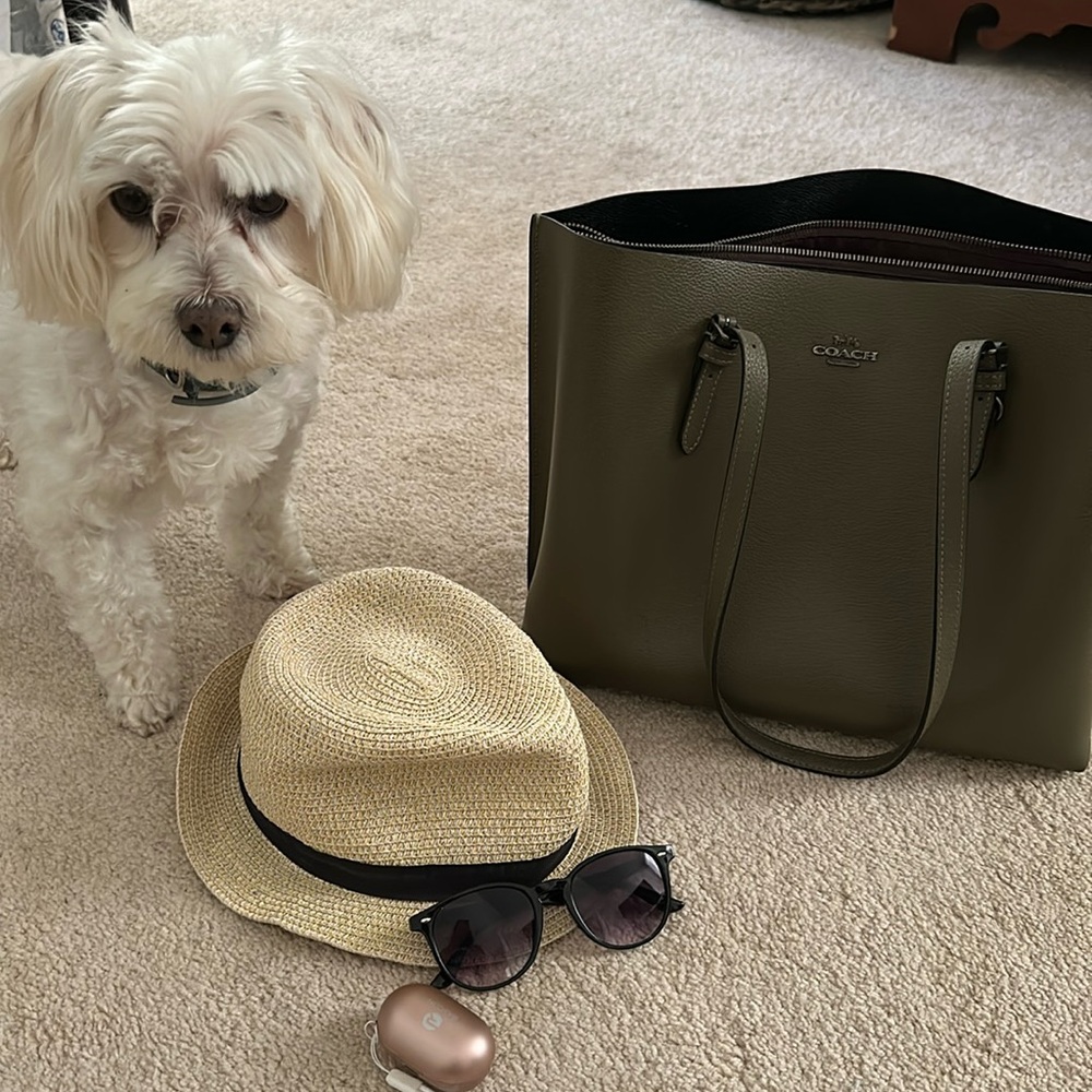 Coach Bag .Olive Green leather . Excellent